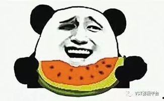 娱乐吃瓜君喷水头飞天,揭秘幕后真相